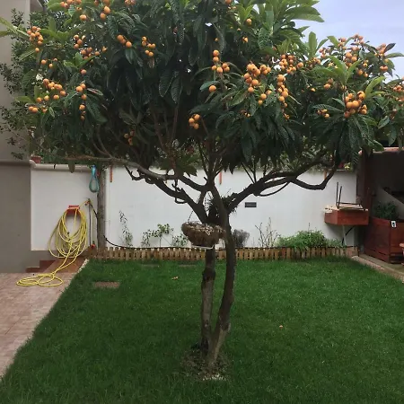 Filomena