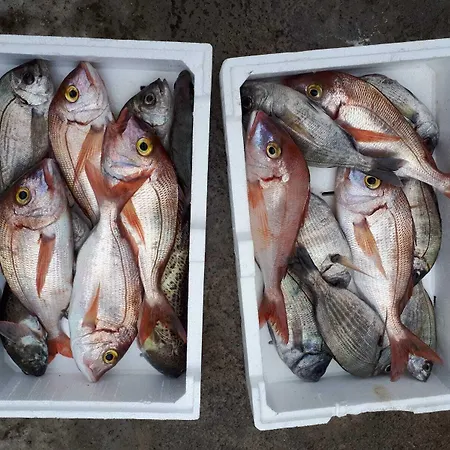 Filomena Bed & Breakfast 4*