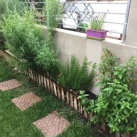 Bed and Breakfast Filomena